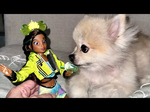 NEW! Disney ILY Doll in Tiana fashion