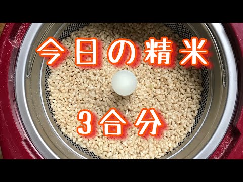 【精米vlog】玄米から白米へ　3合