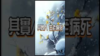 因果輪迴【公益分享】