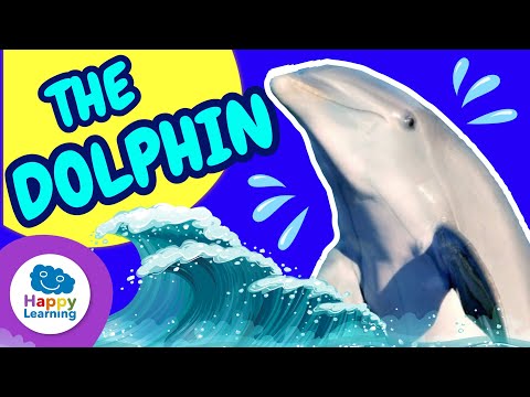 All About Dolphins: The Ocean's Most Fun Animal! | Happy Learning 🐬🌊