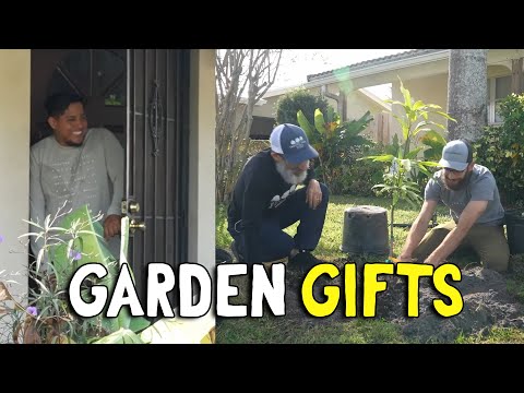 "He Likes Mangos!" - FRUIT TREE GIVEAWAY PT. II