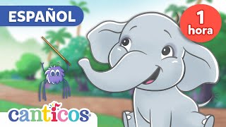 1 Hour of Canticos Best Songs | Pollitos Dicen Pio, Un Elefante, Pin Pon 🌈Canciones Infantiles  MIX