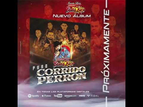 Puro Corrido Perron / Josecito León y Su Banda Roja / Próximamente Producción 2021