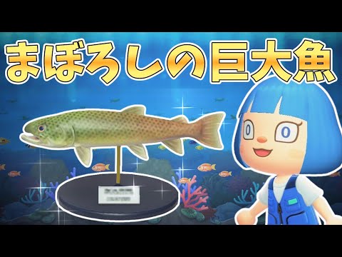 【終われません】イトウを3匹釣って模型をつくれ！【あつ森ゆっくり実況】