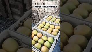 Mango festival #mango #mangonews #reels #ytshort #shorts #viral