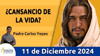 Evangelio De Hoy Miércoles 11 de Diciembre 2024 #PadreCarlosYepes l San Mateo 11,28-30 l Misa