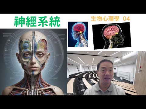 生物心理學04: #神經系統 #中樞神經系統#nervoussystem #centralnervoussystem #cns #pns