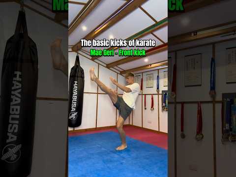 The basic kicks of karate