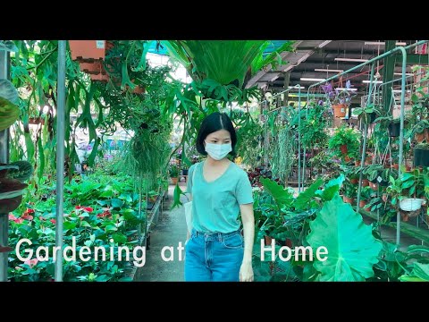 Worth-waiting Char Kway Teow | Gardening at home | It's durian season | Olympic 2020 | Singaporevlog