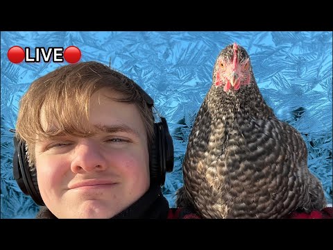 🔴🤠🐔Joseph's Flock is live!🐔🤠🔴