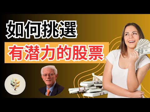 如何挑選股票？| 每年20%的投資報酬率？股聖 彼得·林奇的《六大法則》，《Peter Lynch's 6 Laws》