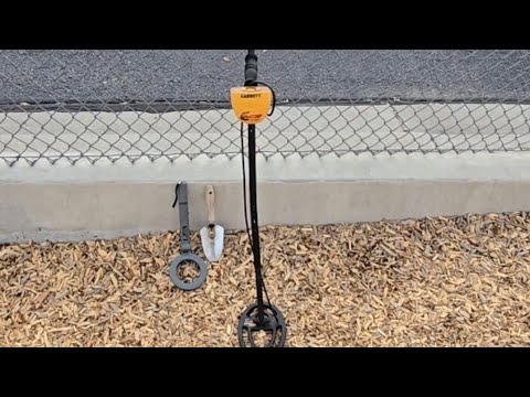 Temu Metal Detector Review