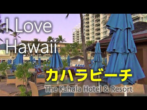 【 ハワイ旅行 】カハラホテルのカハラビーチ　夜明け前の散策  The Kahala Hotel & Resort