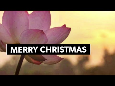 merry christmas  |||  ethical life media