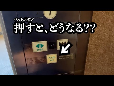 みんなの知らないエレベーター雑学