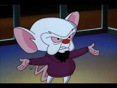 Pinky and the Brain - Brain The Artist