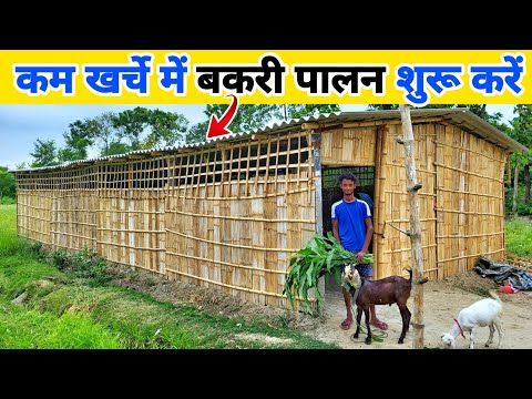 कम खर्चे में बकरी फार्म कैसे बनाएं | Low cost goat farming