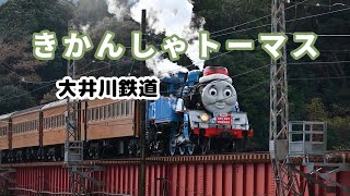 【大井川鐵道ＳＬ動画①】きかんしゃトーマス号