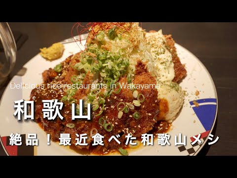 【和歌山vlog】絶品和歌山メシ！最近食べた美味い飯をご紹介！🤤｜和歌山ランチ・グルメ巡り