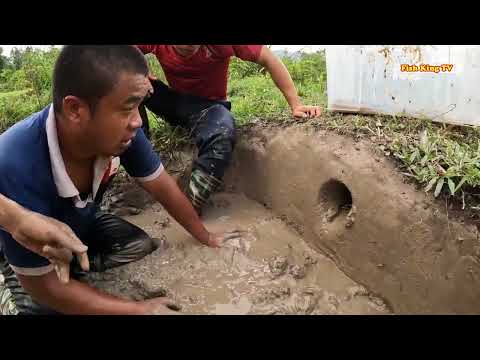 Group Brave Hunter Against 1000 Ferocious Dragon Snakes