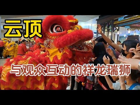 【云顶】不一样的瑞狮祥龙见面会，不是纯粹表演技艺，而是跟观众直接互动的一场表演