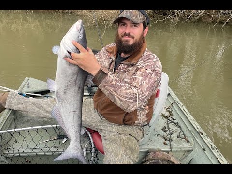 Catching Catfish On The Big Santee River Jamestown 2023