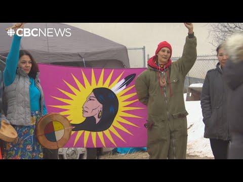 People camp outside Winnipeg-area forest to protest the removal of trees