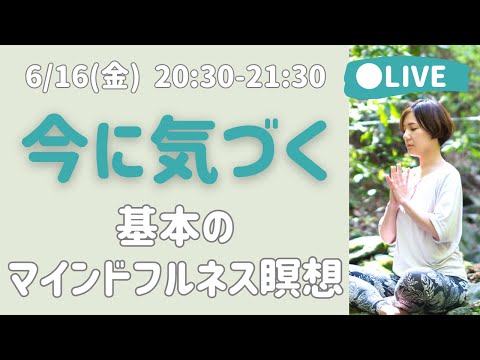 【LIVE瞑想】今の体験に気づいて受容する 基本のマインドフルネス瞑想