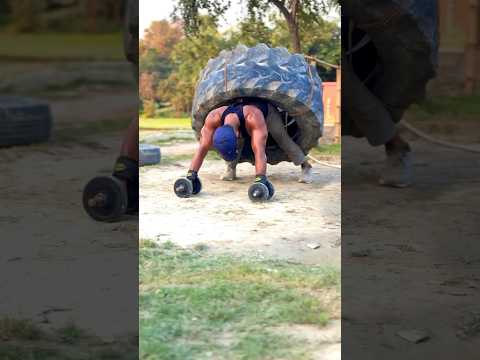 Heavyweights pushups | sapate | desi workout | akhada #shorts #shortsfeed #shortsbeta