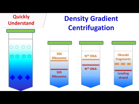 Density gradient centrifugation