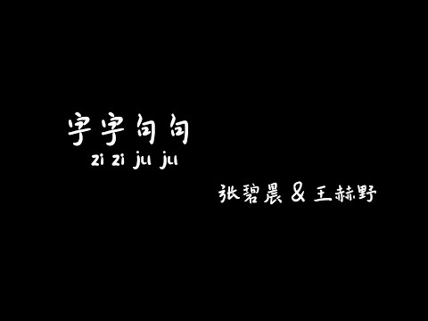 字字句句 zizijuju- 张碧晨&王赫野【Karaoke Lyrics 伴奏歌词】（他字字未提喜欢你...你句句都是我愿意...他一句寂寞时候的回应...你却激动不已...）