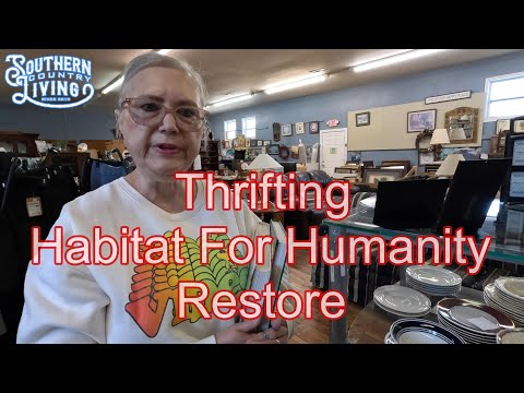 Thrifting Habitat For Humanity Restore  10-12-2024