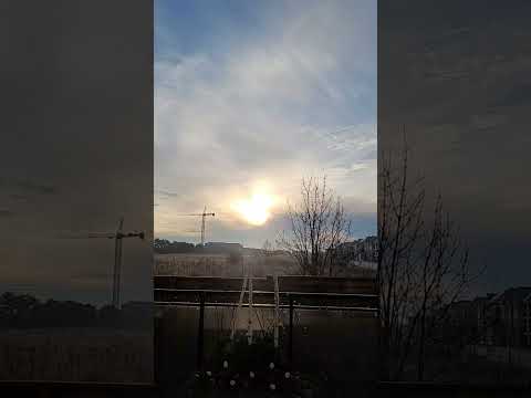 Good Morning #sunrise #morningview #goodmorning #shortvideo