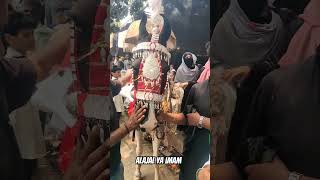 zakhmi zuljana #shortvideo #trending#whatsappstatus #1445h alajal ya imam #zuljana