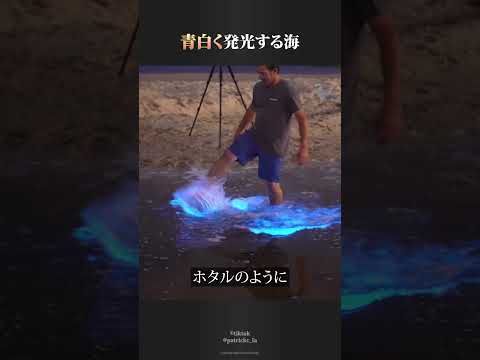 青白く発光する海