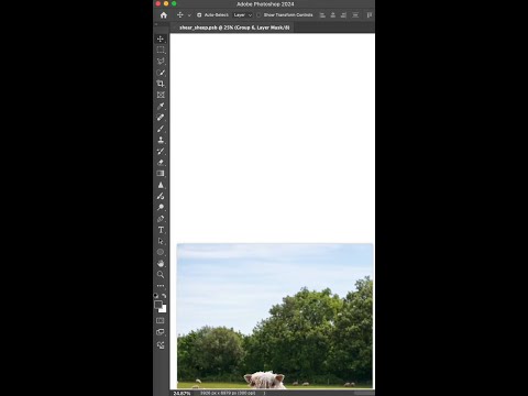 From Woolly to Sleek: Shearing Sheep in #Photoshop #shorts