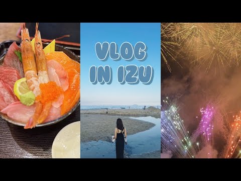 【Vlog】伊豆下田へ🌊 海が目の前！花火大会🎆｜下田海中水族館🐋