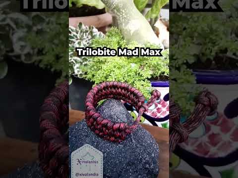 Paracord bracelet, Trilobite Mad Max style