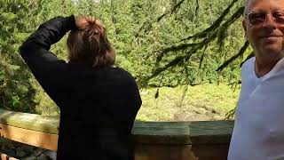 Black Bear & Wildlife Exploration Excursion- Ketchikan, AK