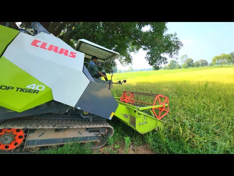 Harvesting | Claas Crop Tiger 40 | John Deere 4X4