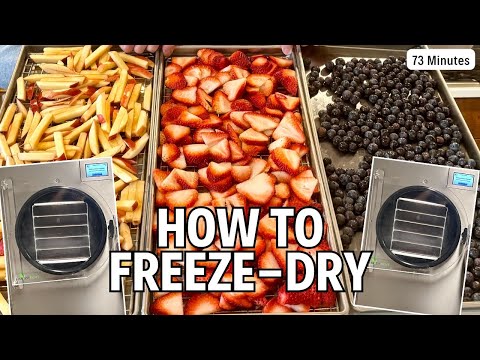 The Ultimate Freeze-Drying FRUIT Collection - 1 Hour of How-To Videos