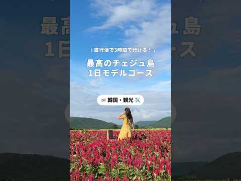 3時間で行ける海外リゾート「チェジュ島」🏝️ #チェジュ #チェジュ旅行 #済州島 #海外旅行 #newtモニターツアー #韓国観光公社 #韓国旅行 #visitkoreayear