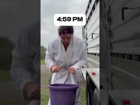 Feeding cows in the dark! #daylightsavings #dark #cows #feeding #funny #cattleranch