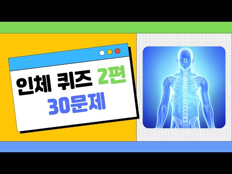 인체 퀴즈 2편( 30문제) ｜몸에 대한 퀴즈｜신비한 인체