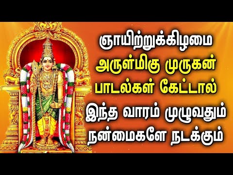 SUNDAY LORD MURUGAN TAMIL DEVOTIONAL SONGS || Best Murugan Songs || Lord Murugan Padalgal