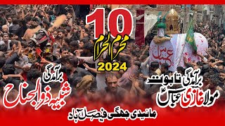 10 Muharrm 2024 Mai Di Jhugi Faisalabad Baramdagi Zuljana & Taboot Mola Abbas a.s