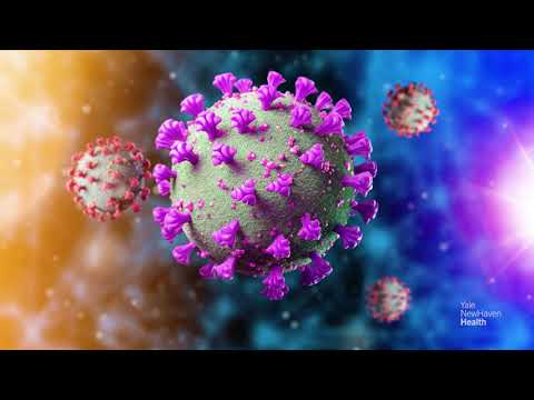 Understanding COVID-19 variants