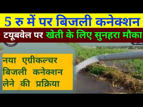 बोर पर बिजली कनेक्शन कैसे लें // how borewell connectiona apply // tubewell par bijli kaise lagayen