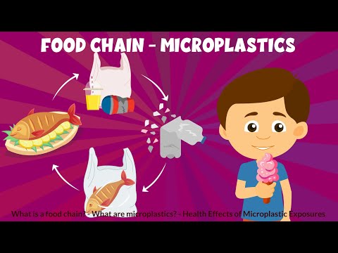 What is a Food Chain?: Definition, Types, Examples - Microplastics - Video for Kids