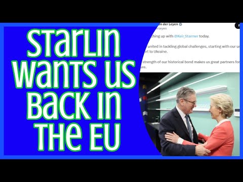 Starlin wants us back in the EU